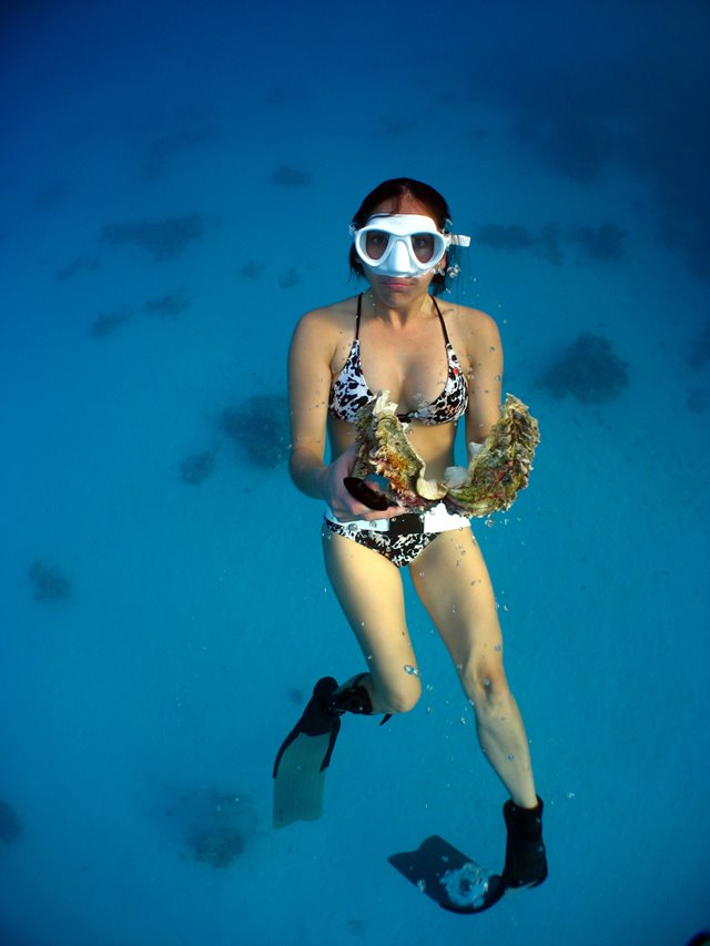 Freediver in a bikini with a giant clam shell in the Red Sea, Egypt